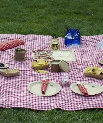 picnic clásico