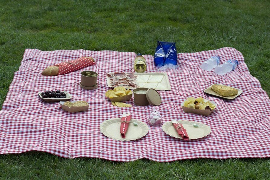 picnic clásico