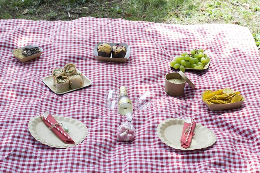romantic picnic