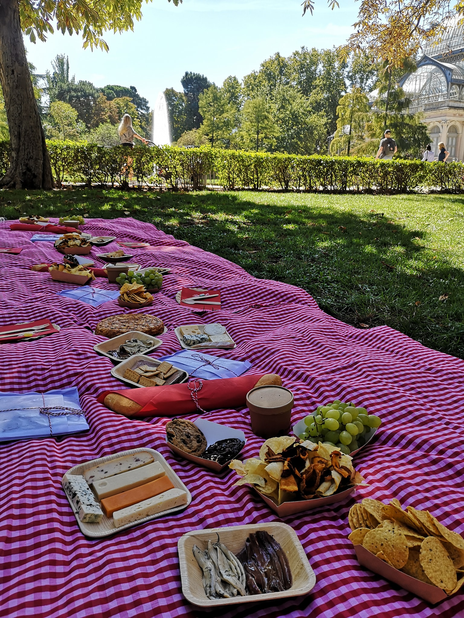Picnic para grupos en El Retiro 