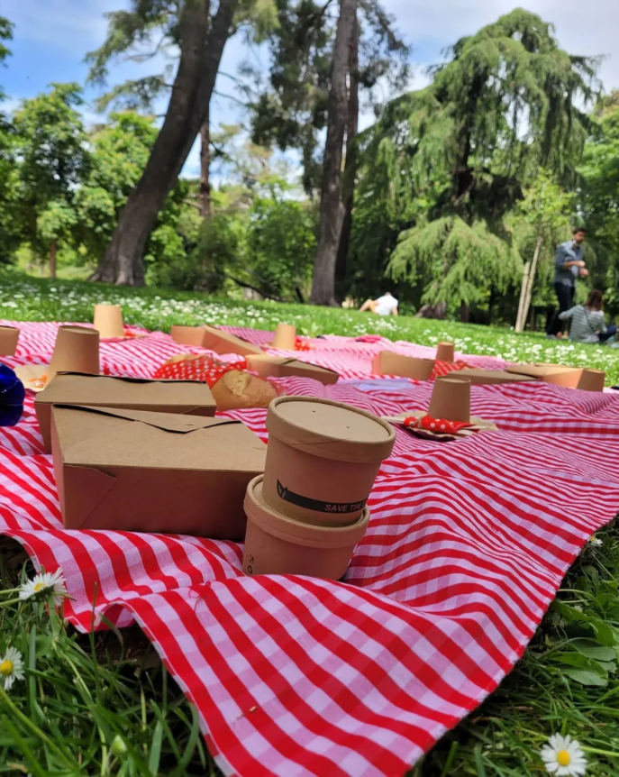 comida sana de picnic al aire libre en madrid