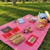 Luxury picnic in Madrid with gingham tablecloth, cured meats, artisan bread and portable cooler