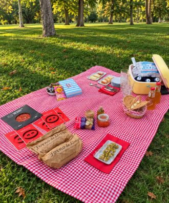 Picnic de lujo en Madrid con mantel de cuadros, embutidos, pan artesano y nevera portátil