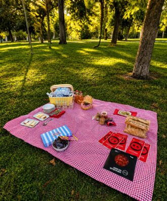 Picnic de lujo en un parque de Madrid con mantel de cuadros y productos gourmet