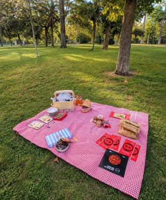 Detalle de picnic de lujo en Madrid sobre el césped con productos seleccionados