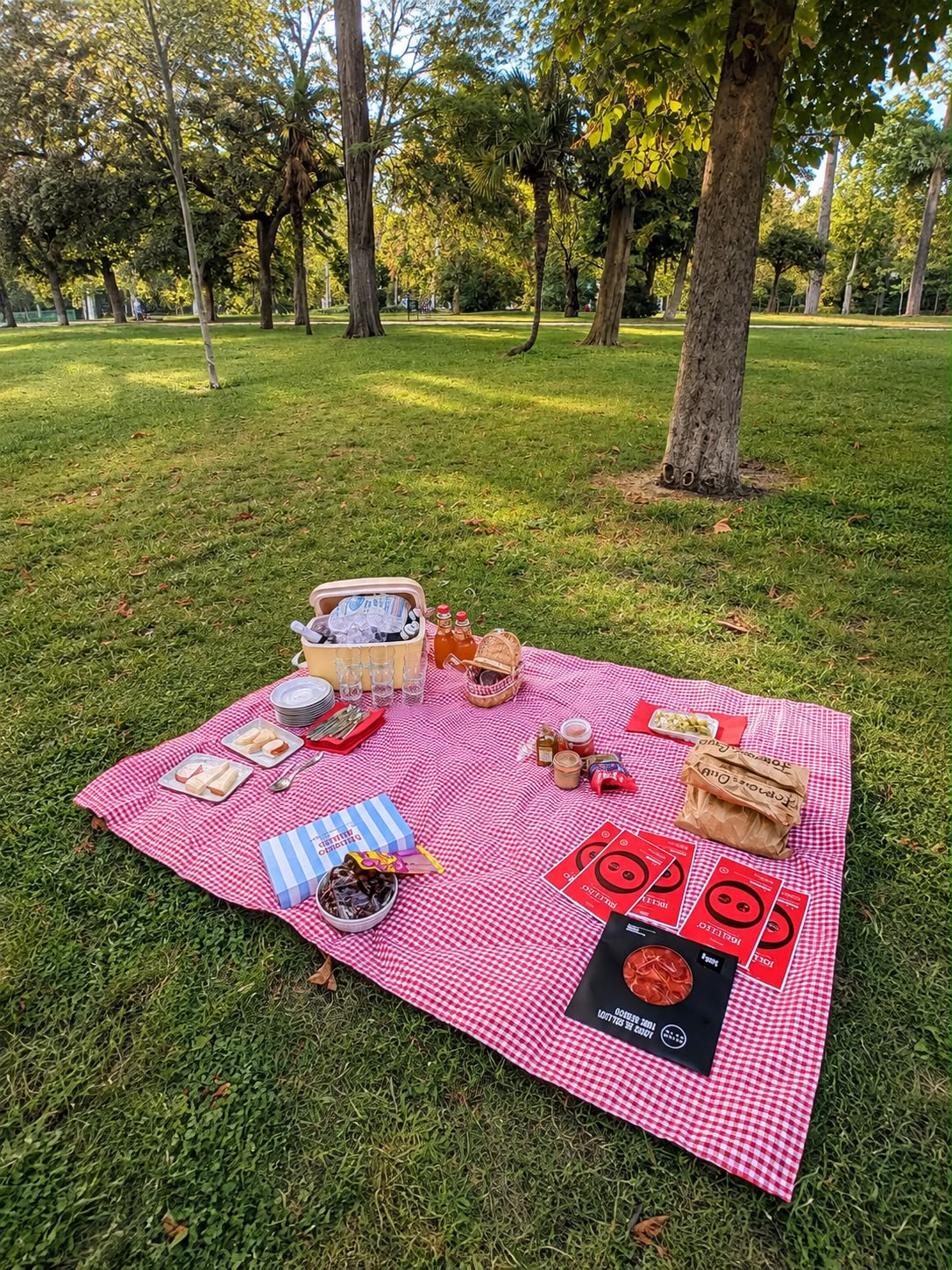 Detalle de picnic de lujo en Madrid sobre el césped con productos seleccionados
